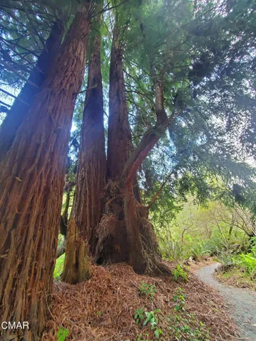 $1,200,000 | 615 North Main Street, Fort Bragg, CA 95437