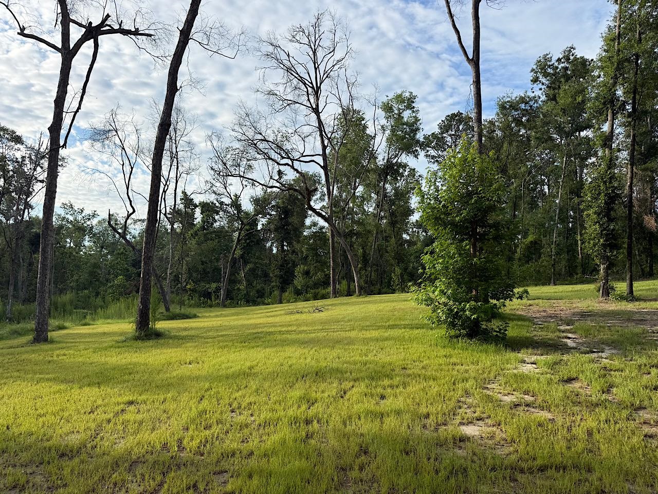 Vacant Northwest Vacant Nw Circle Road Madison, FL 32340 - Photo 9 of 18