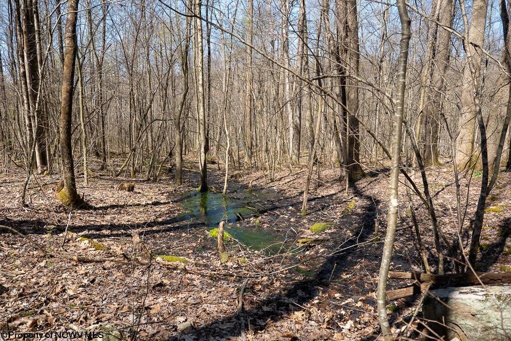 Lot 1 Fairfax Mine Road Reedsville, WV 26547 - Photo 12 of 49 Gallery Image 12
