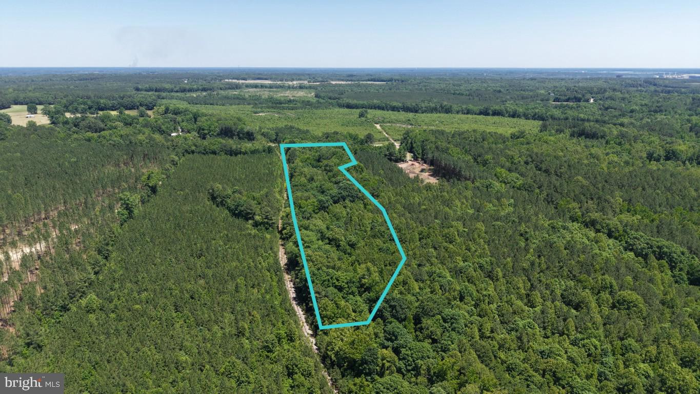 0 Freemans Cross Road Freeman, VA 23856 - Photo 15 of 36