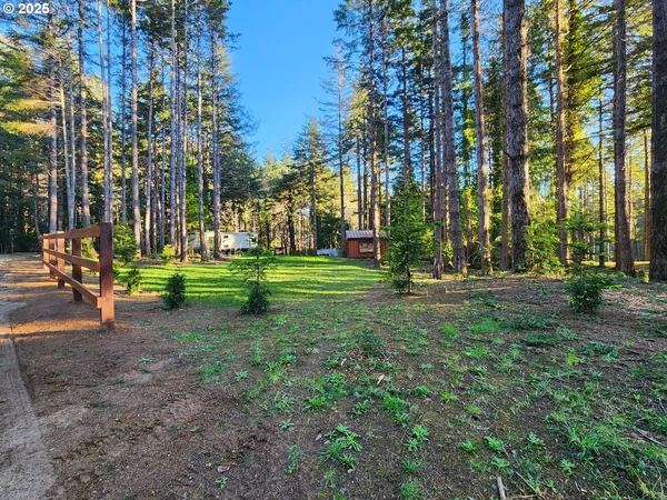 a view of a park with tree s
