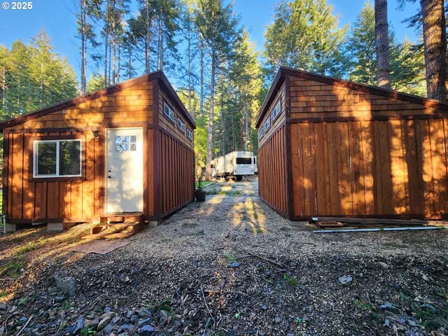 a view of backyard with large tree