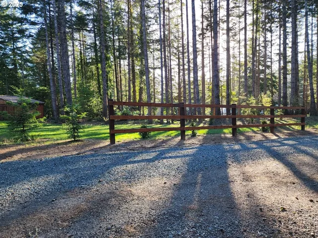 a view of a park with large trees