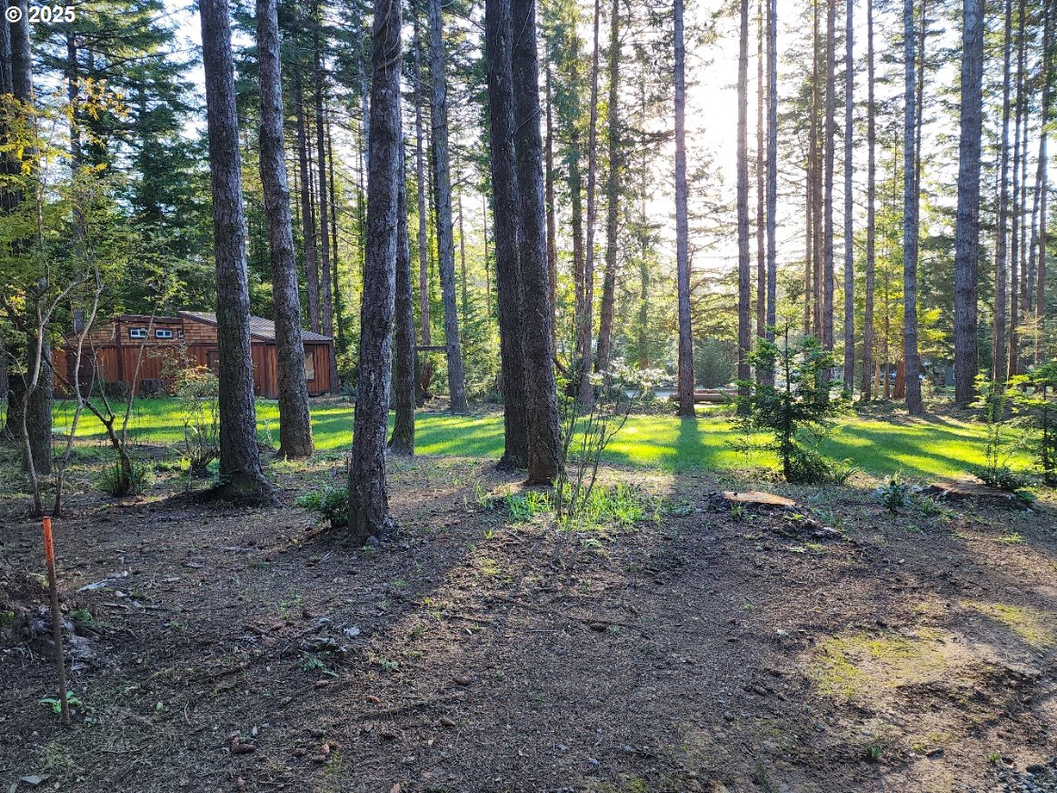 Orchard Road, Unit 3 Port Orford, OR 97465 - Photo 6 of 32 a view of a park with a trees
