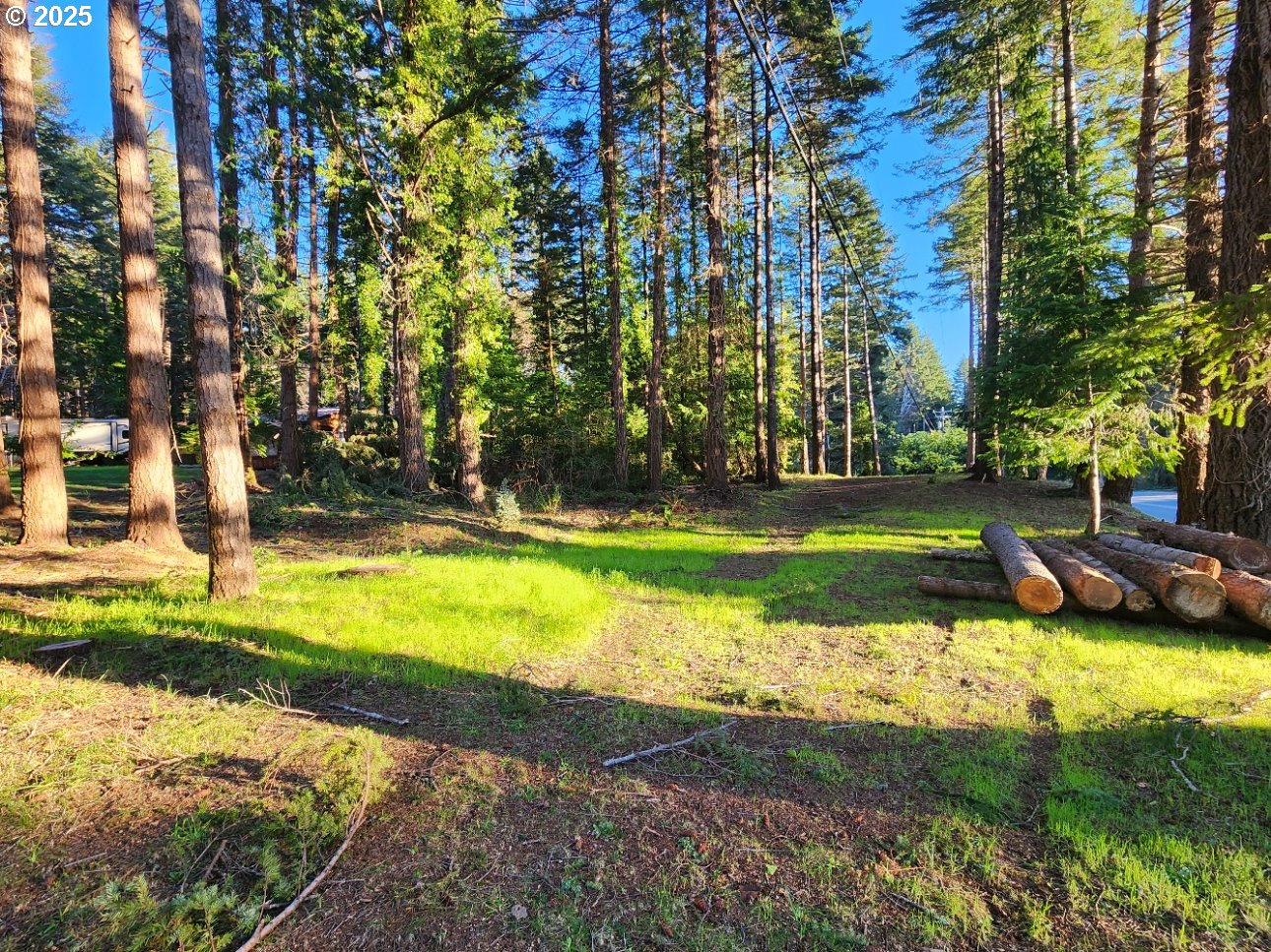Orchard Road, Unit 3 Port Orford, OR 97465 - Photo 9 of 32 a view of a swimming pool with a big yard and large trees