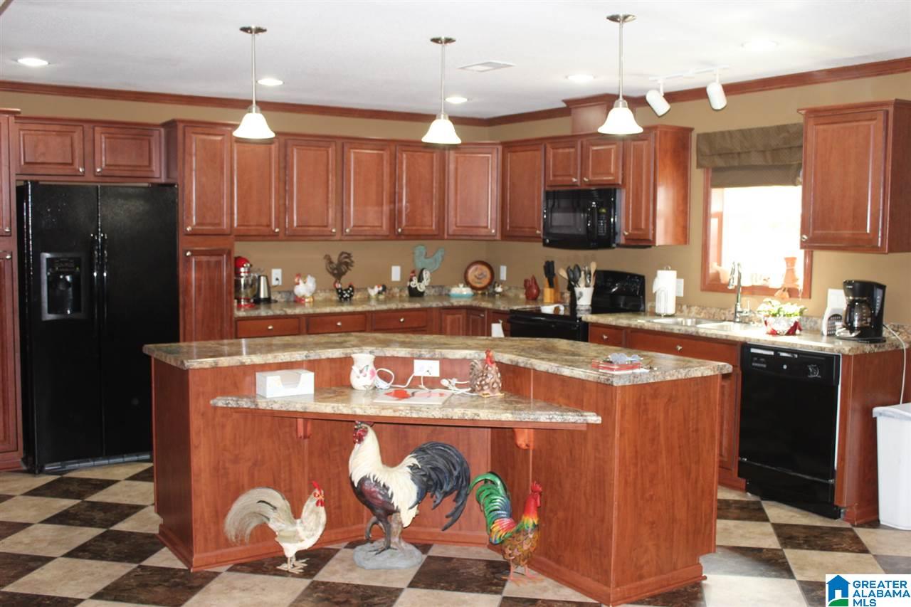 4645 Old Pineywoods Road Jasper, AL 35504 - Photo 6 of 29