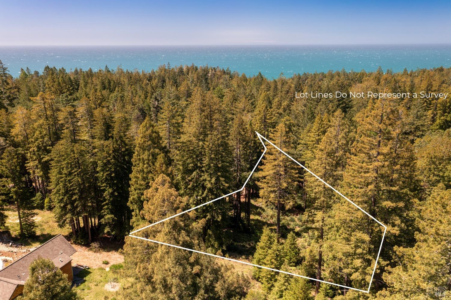 22139 Ruoff Road Jenner, CA 95450 - Photo 1 of 1 Gallery Image 1