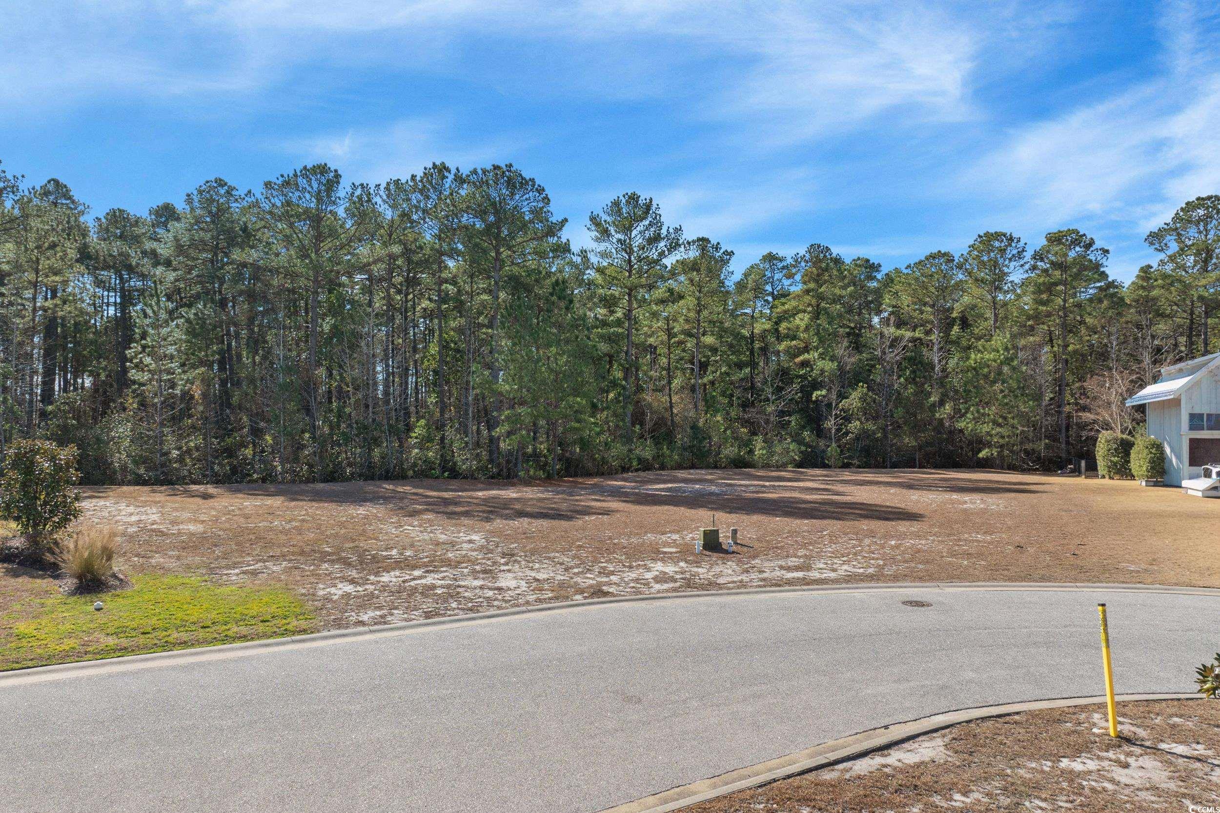 2908 Moss Bridge Lane Myrtle Beach, SC 29579 - Photo 11 of 35 View of asphalt street