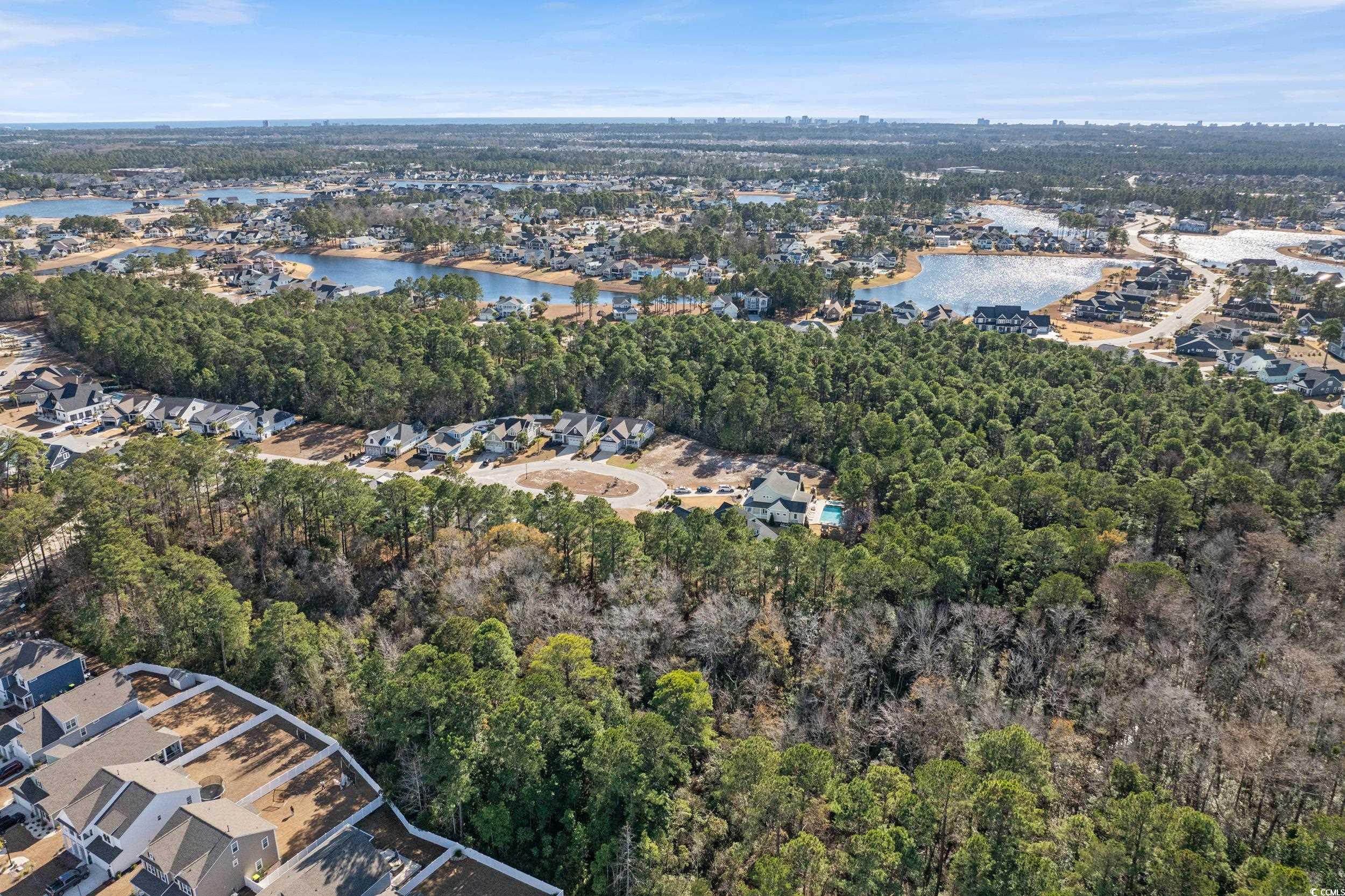 2908 Moss Bridge Lane Myrtle Beach, SC 29579 - Photo 16 of 35 Aerial overview of property's location with a large body of water