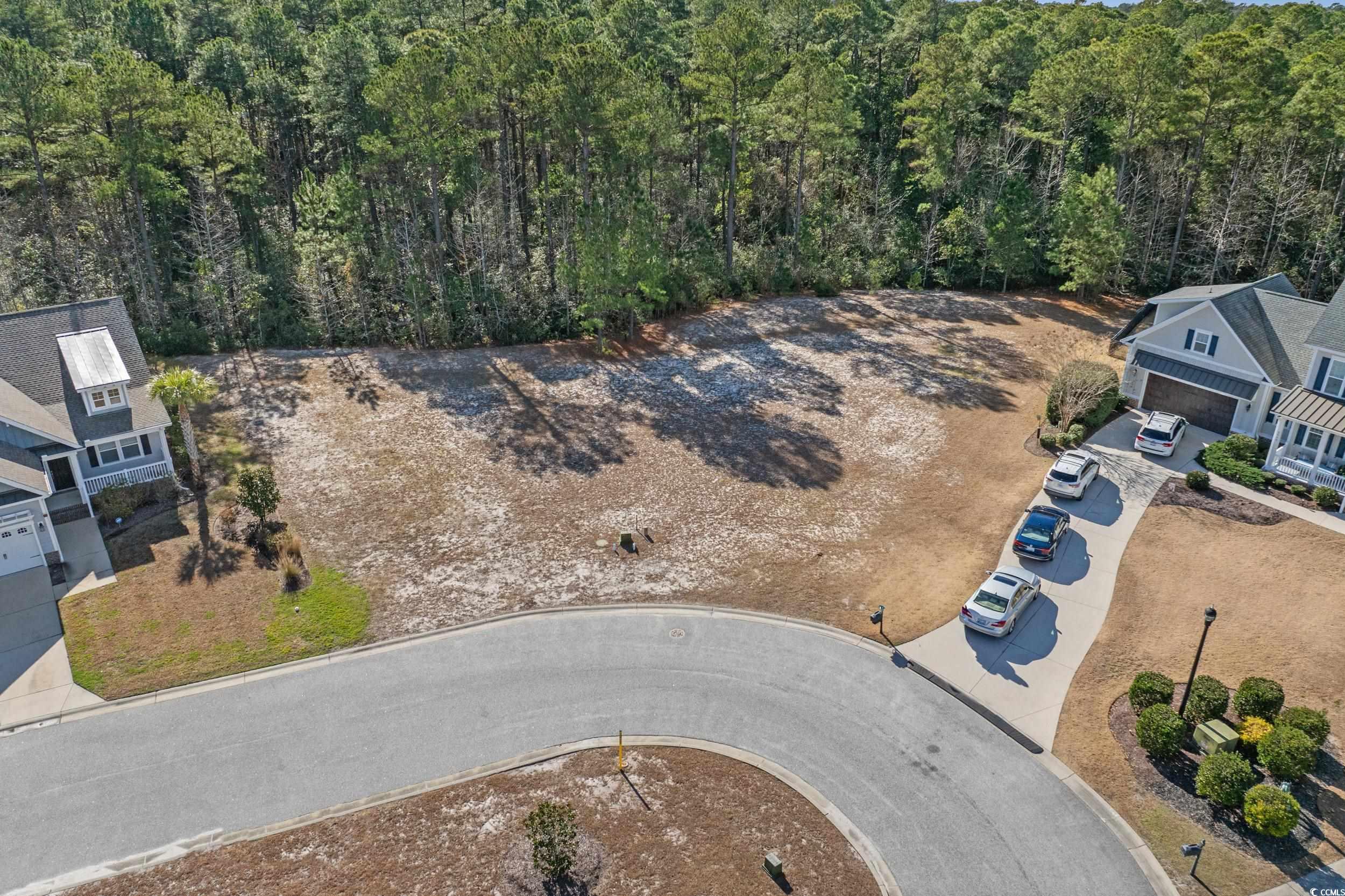 2908 Moss Bridge Lane Myrtle Beach, SC 29579 - Photo 8 of 35 View from above of property