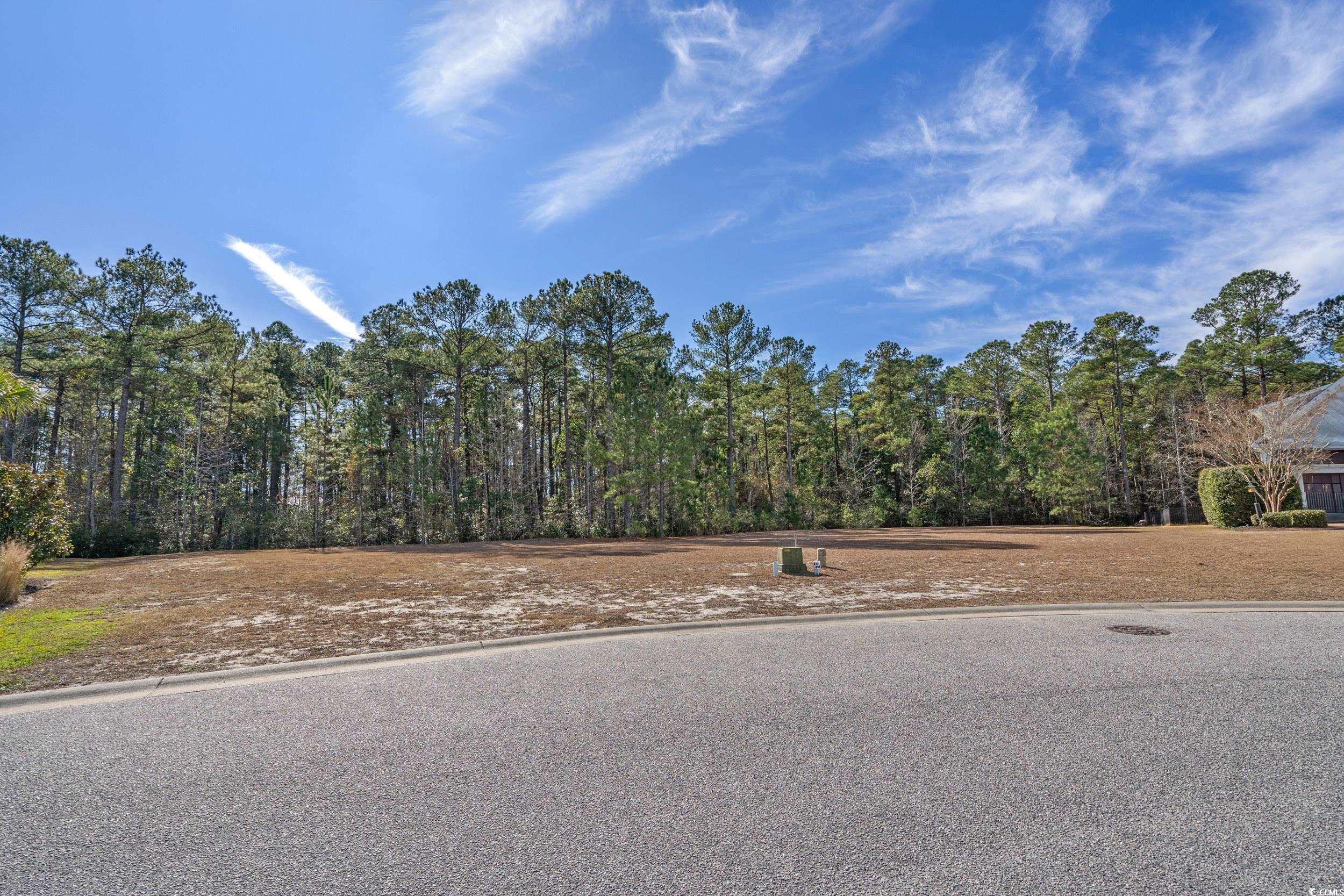 2908 Moss Bridge Lane Myrtle Beach, SC 29579 - Photo 10 of 35 View of asphalt road