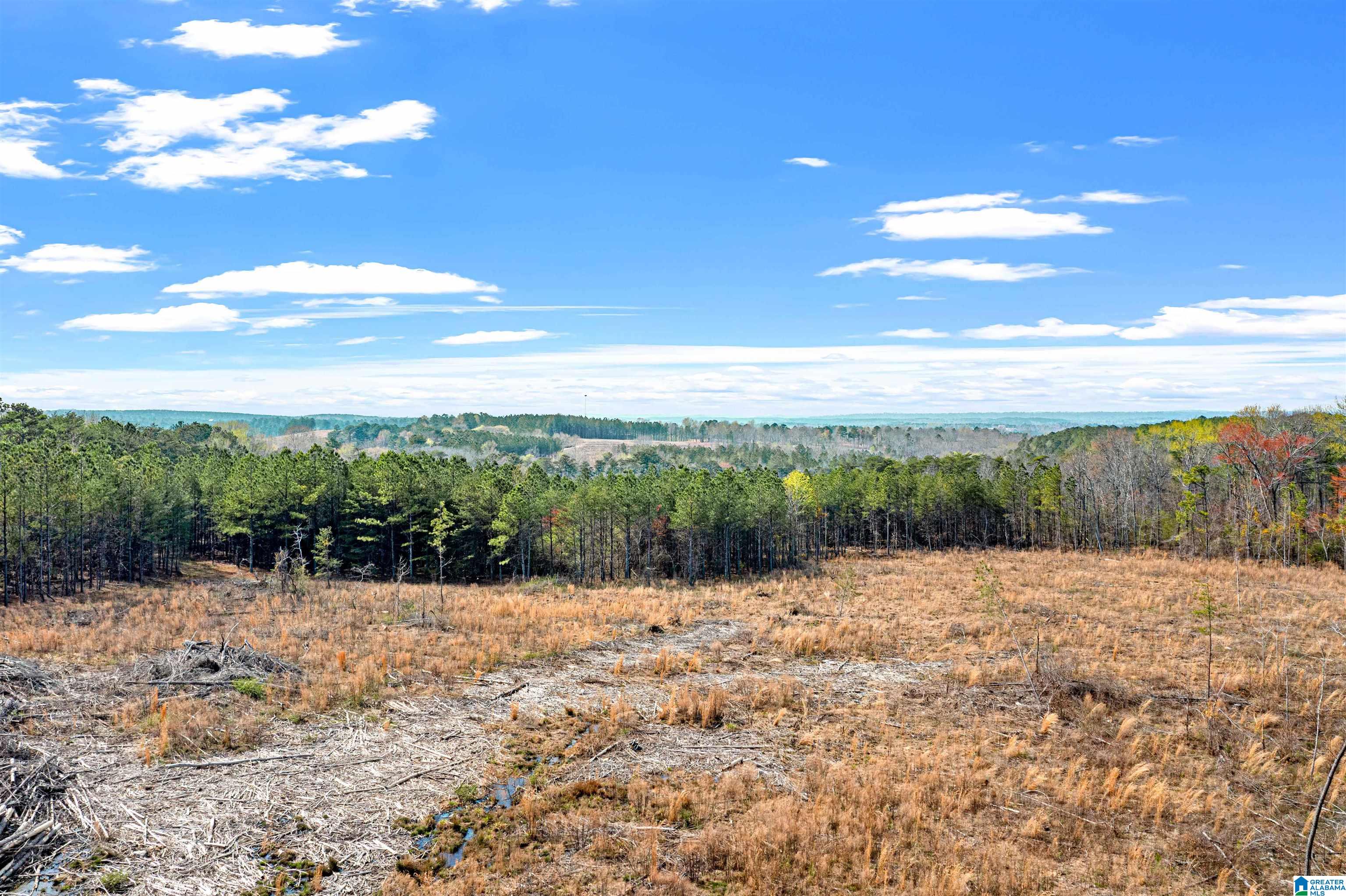 0 Frost Road, Unit 100 / ACRES Springville, AL 35146 - Photo 43 of 60