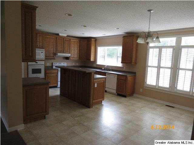 690 Pine Mountain Road Remlap, AL 35133 - Photo 4 of 12