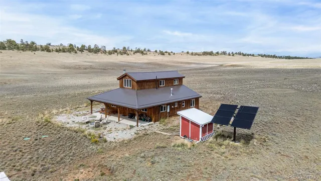a view of a dry yard with trees