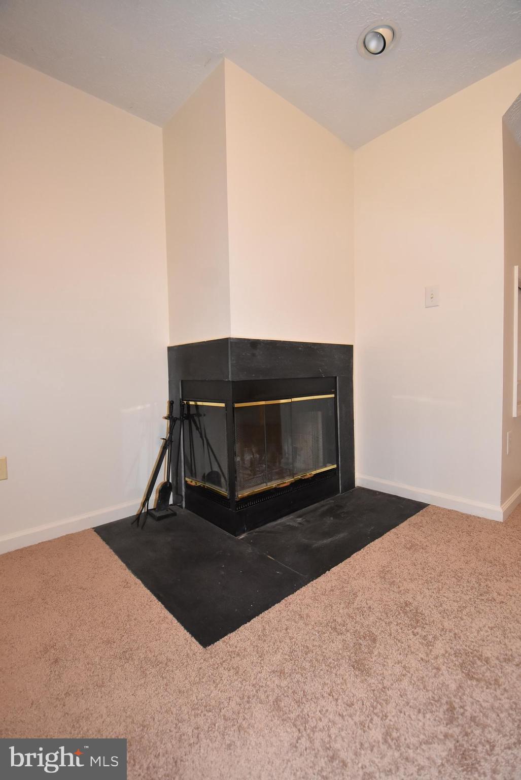 706 Summer Ridge Court Odenton, MD 21113 - Photo 25 of 53 Fireplace