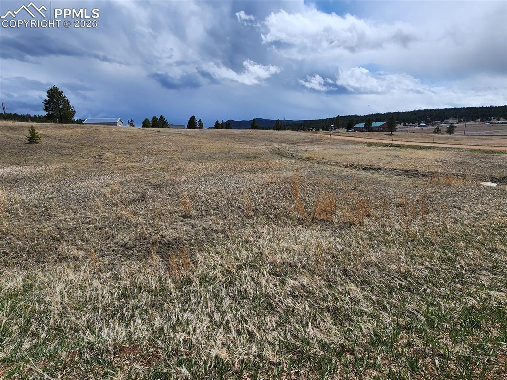 714 Empire Road Florissant, CO 80816 - Photo 6 of 11