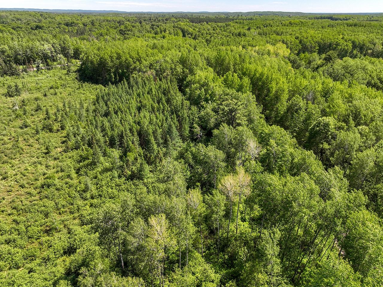 On Birch Bay Road Tomahawk, WI 54487 - Photo 7 of 10 Gallery Image 7