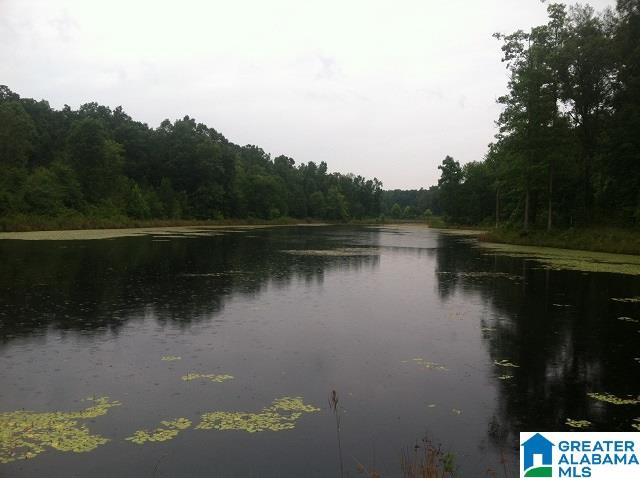3191 Smith Sims Road, Unit 1 Trussville, AL 35173 - Photo 6 of 6