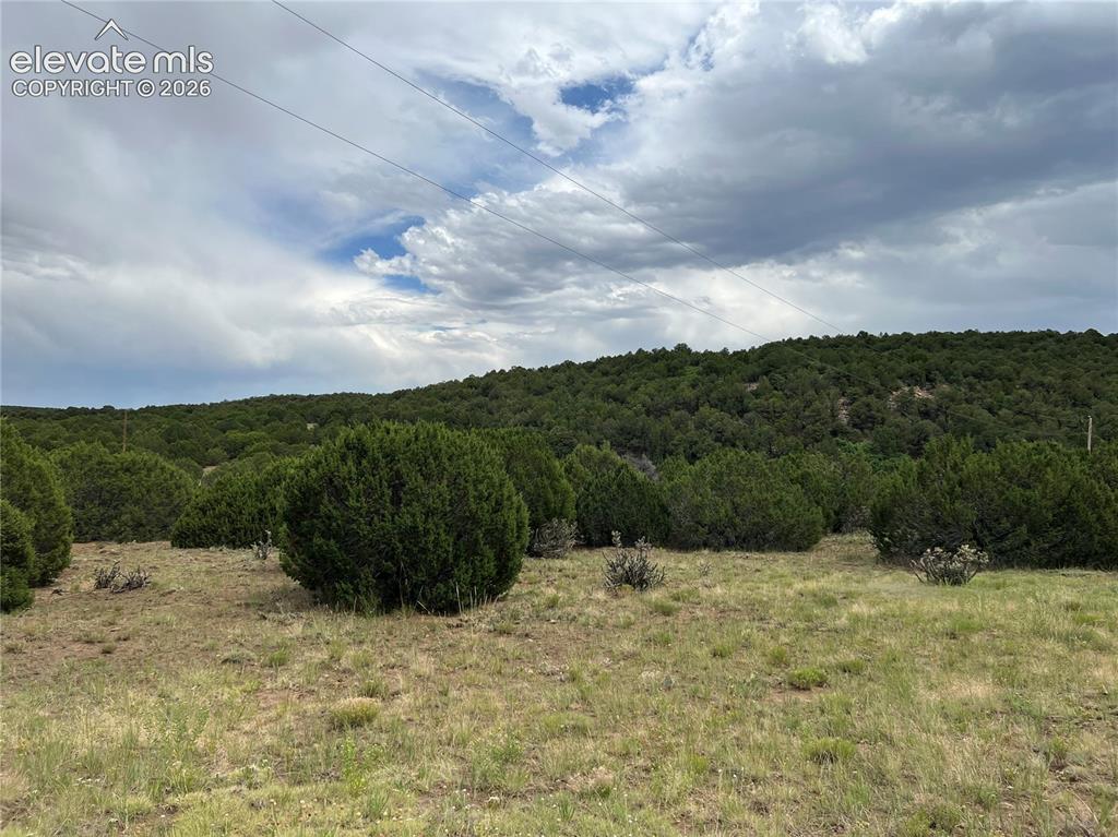 Sunrise Road Walsenburg, CO 81089 - Photo 3 of 4 View from road looking across property