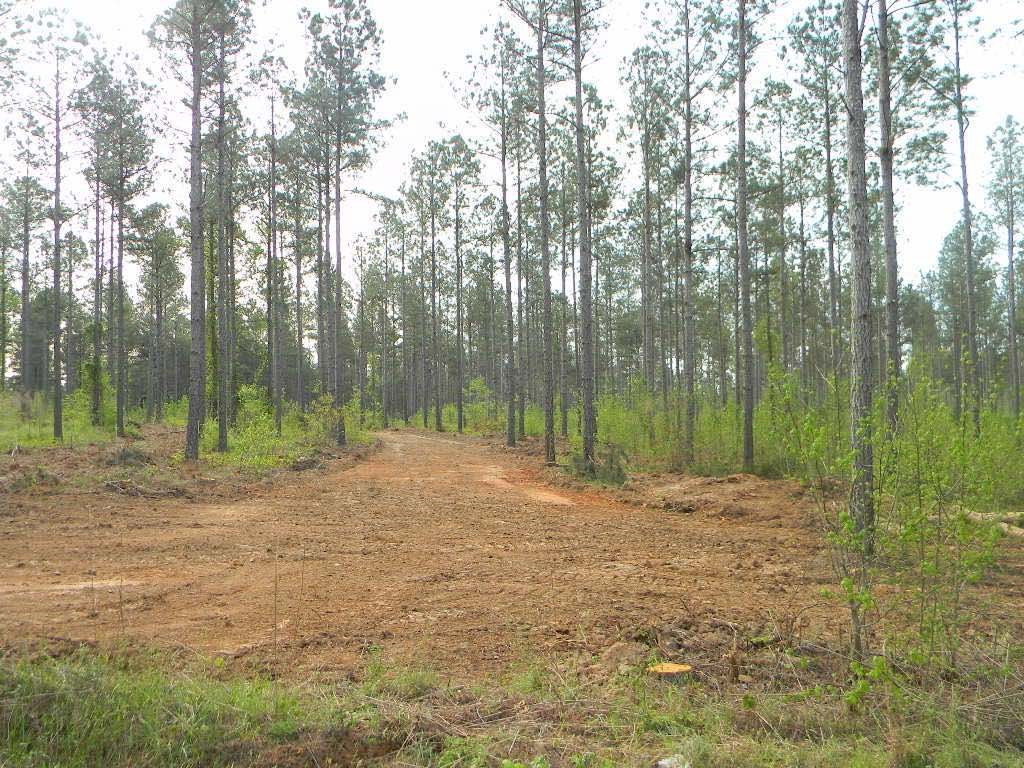 Na Old Shoals Junction Road Donalds, SC 29638 - Photo 6 of 8