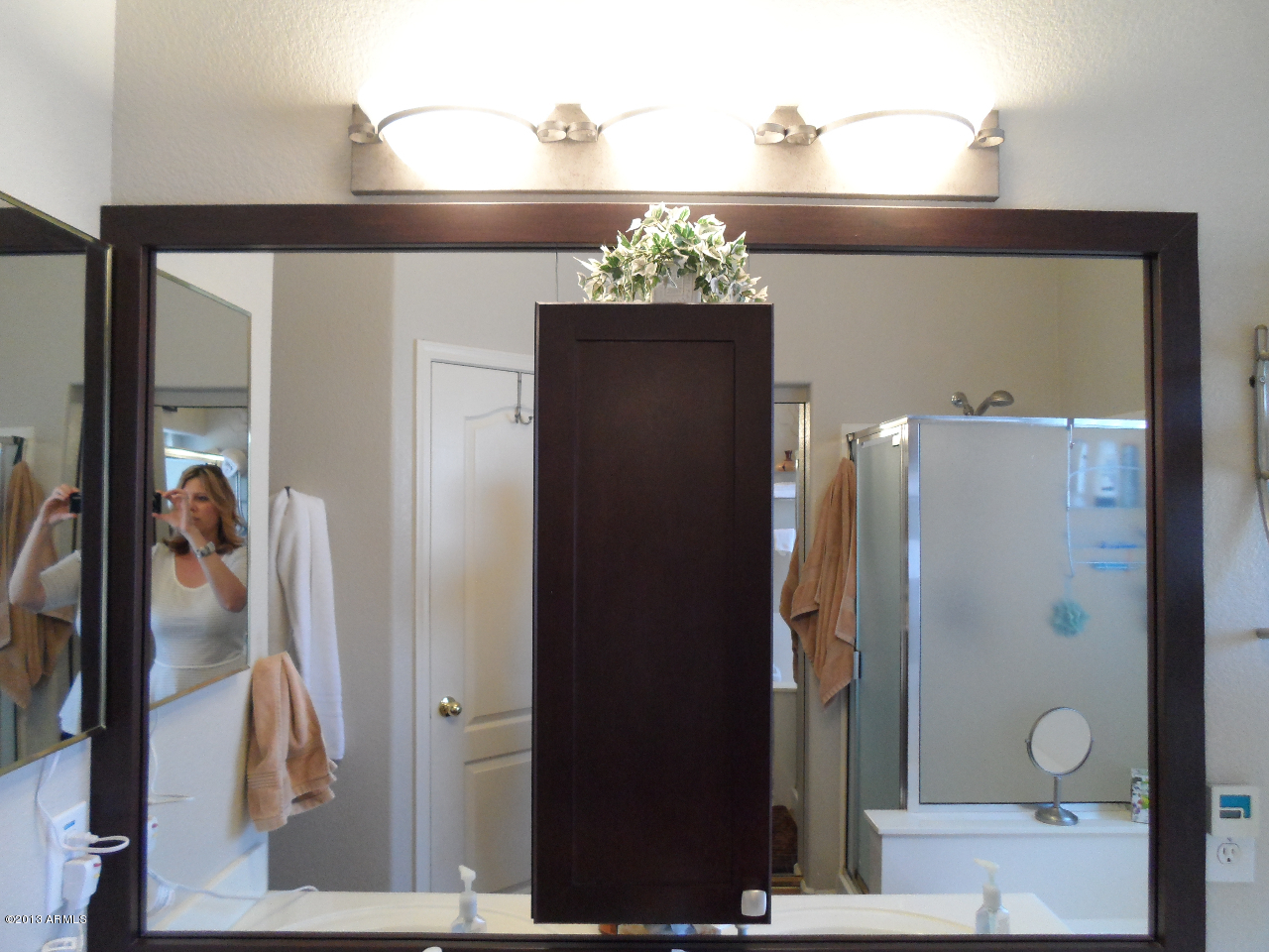 3906 East Simpson Road Gilbert, AZ 85297 - Photo 16 of 33 Decorative Master Mirror