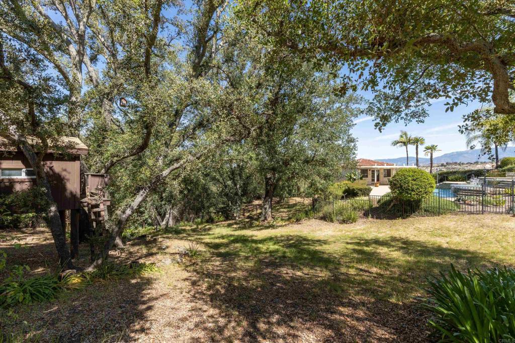 14128 Ridge Canyon Road Valley Center, CA 92082 - Photo 58 of 74