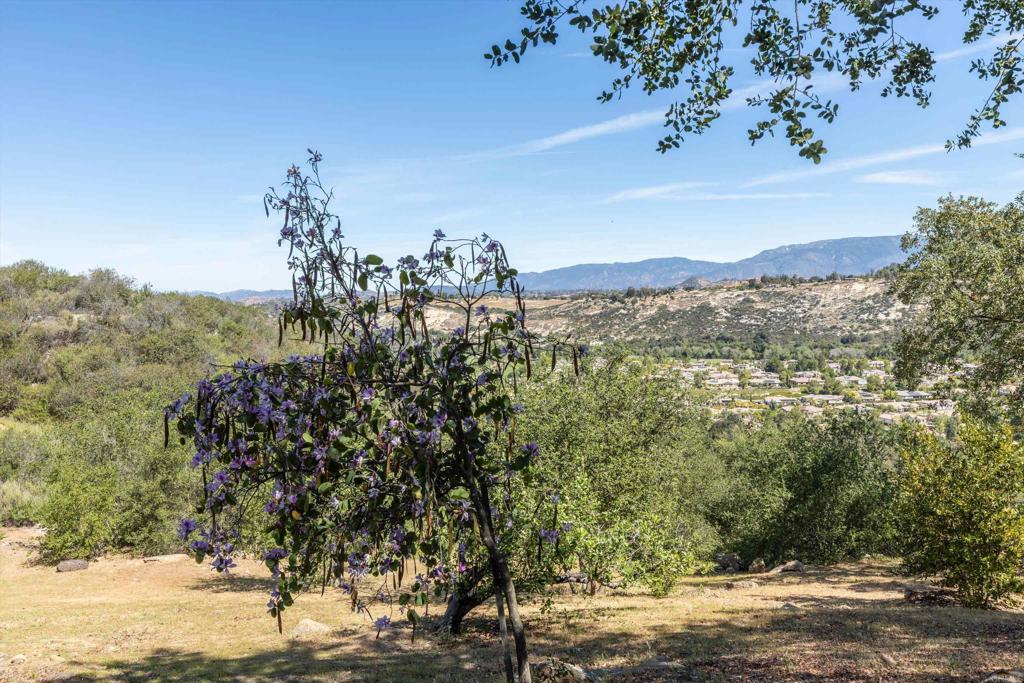 14128 Ridge Canyon Road Valley Center, CA 92082 - Photo 61 of 74