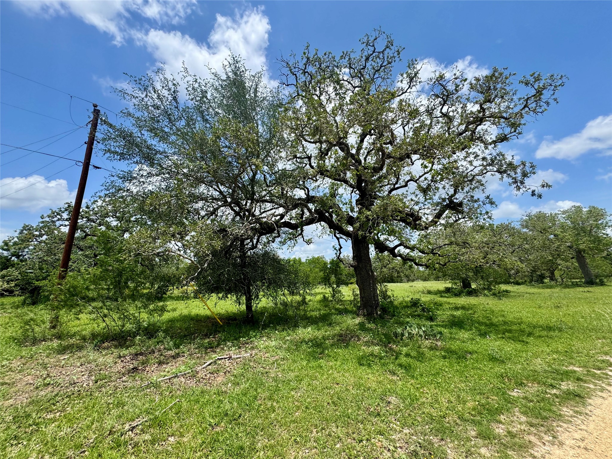 0 Batey Road Nixon, TX 78140 - Photo 8 of 13 a view of outdoor space and yard