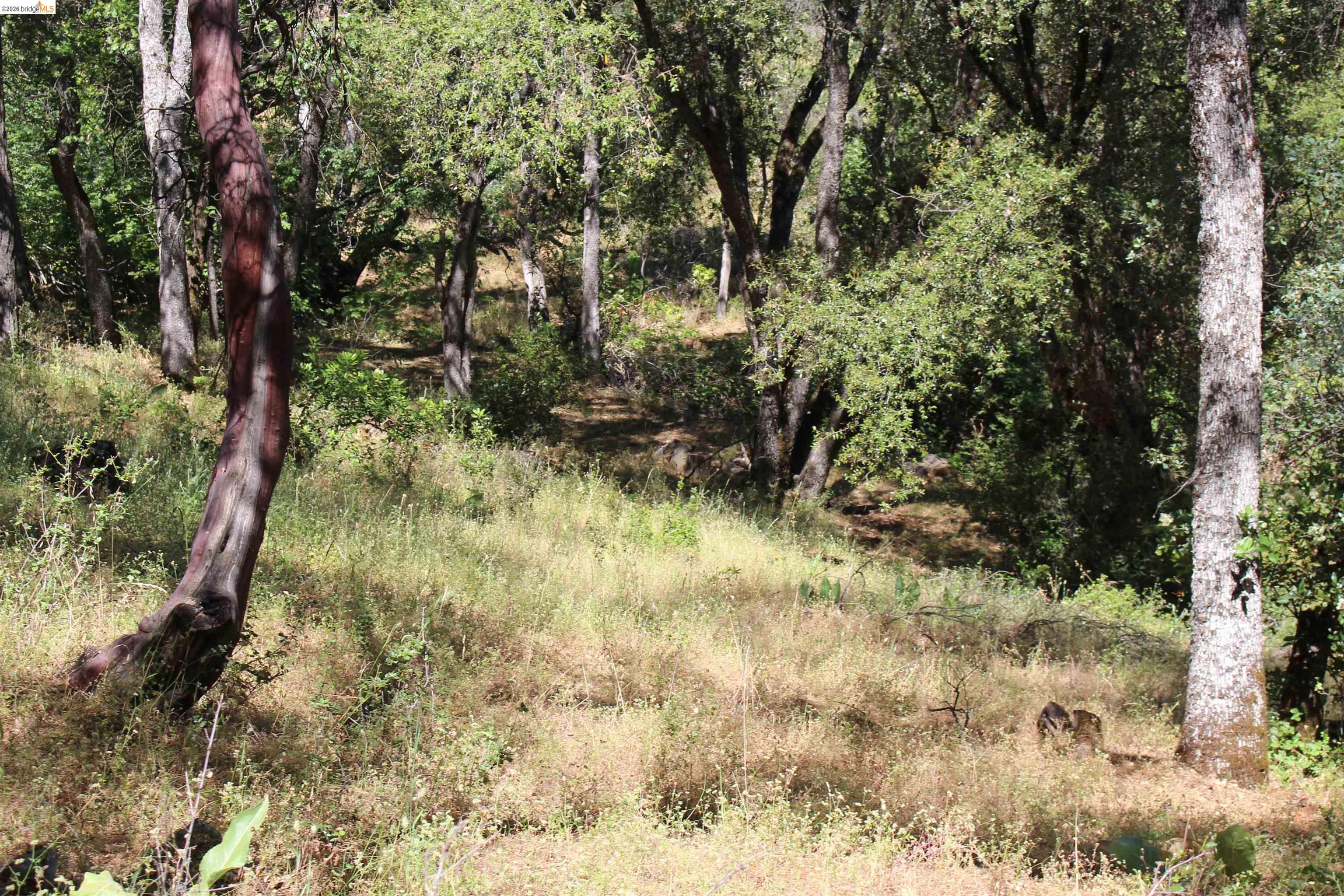 12000 Cattle Drive Trail Columbia, CA 95310 - Photo 19 of 24