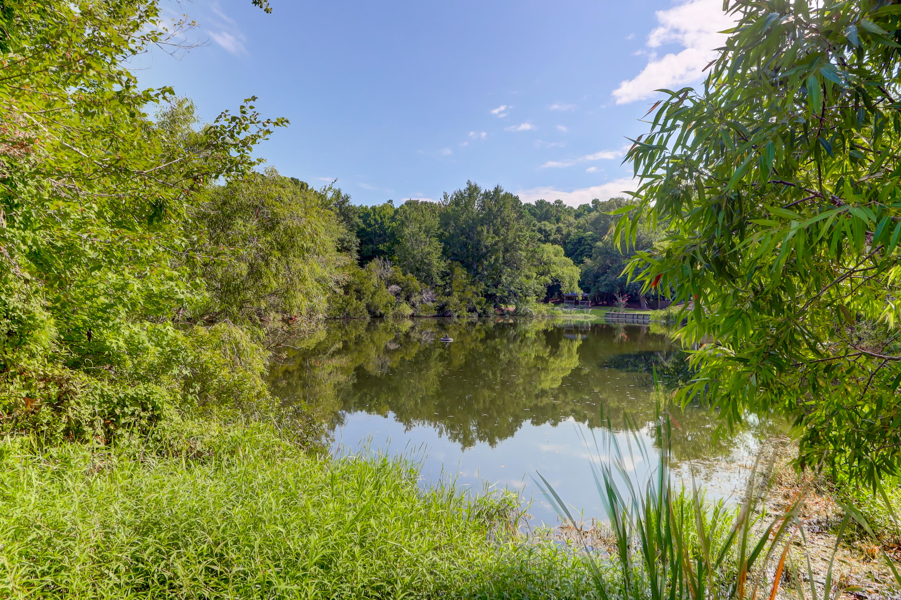 3746 Copahee Sound Drive Mount Pleasant, SC 29466 - Photo 56 of 74 3746 Copahee (79)