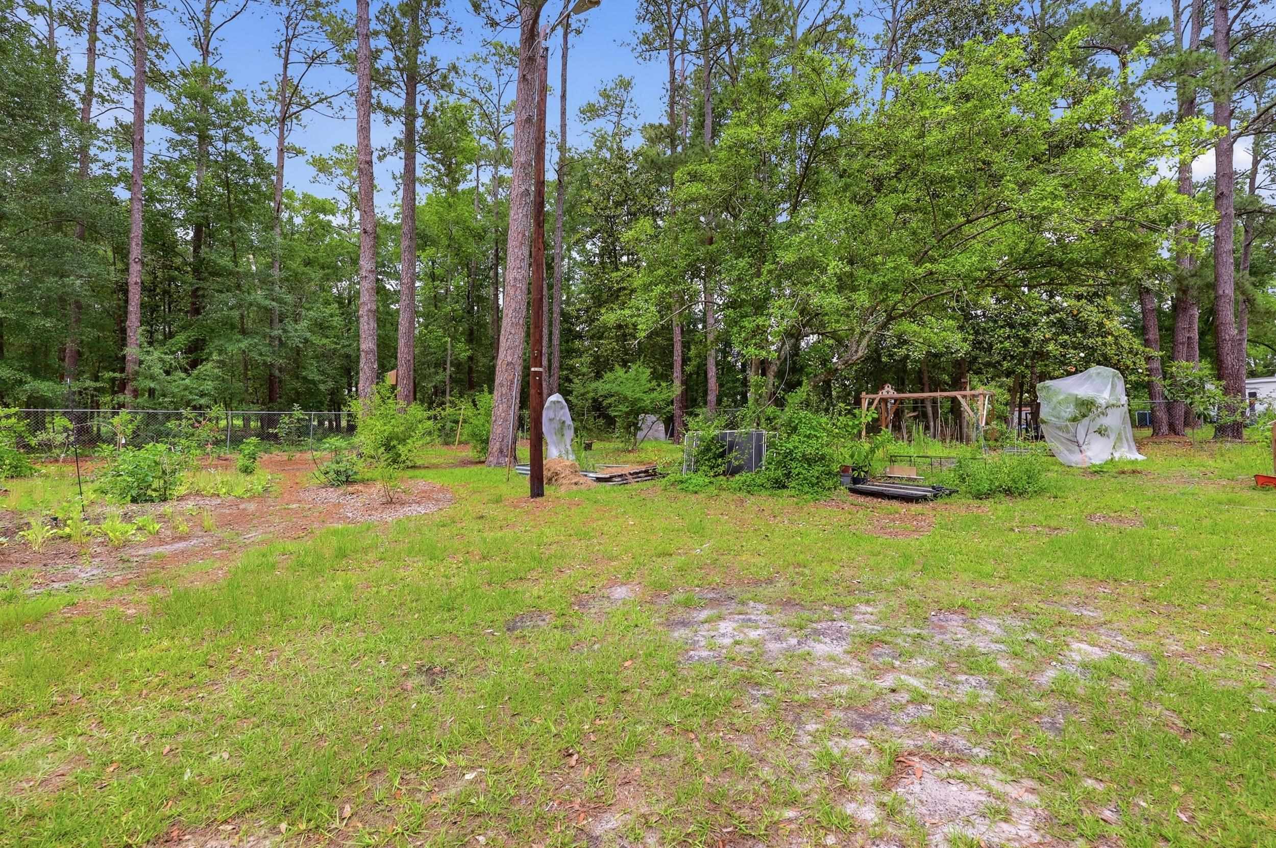 205 West Raft Street Nichols, SC 29581 - Photo 28 of 30