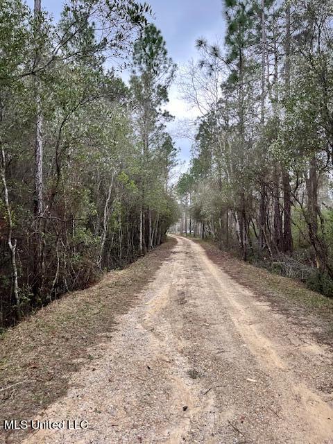 15429 Indian Fork Road Vancleave, MS 39565 - Photo 53 of 63 Drive