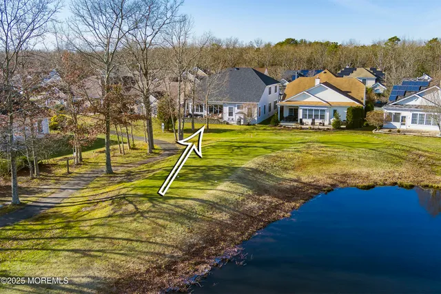 a view of the garden