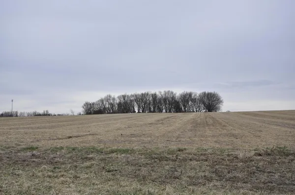 $344,500 | 638 Shardlow Place Northeast, Byron, MN 55920