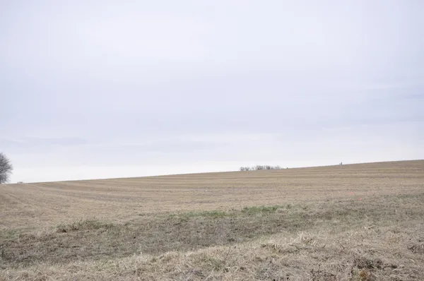 $344,500 | 638 Shardlow Place Northeast, Byron, MN 55920