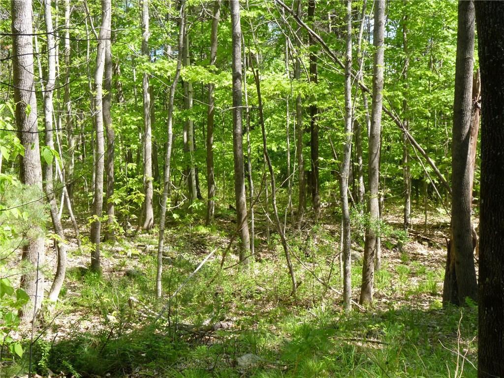 113 Egypt Road Gray, ME 04039 - Photo 1 of 3 Photo