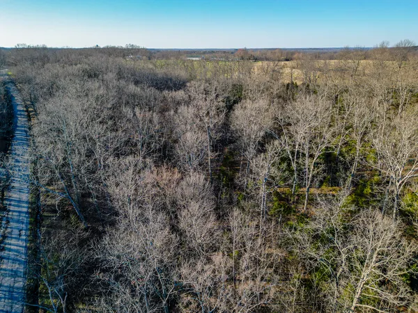$163,200 | 0 Belville Road, New Burnside, IL 62967
