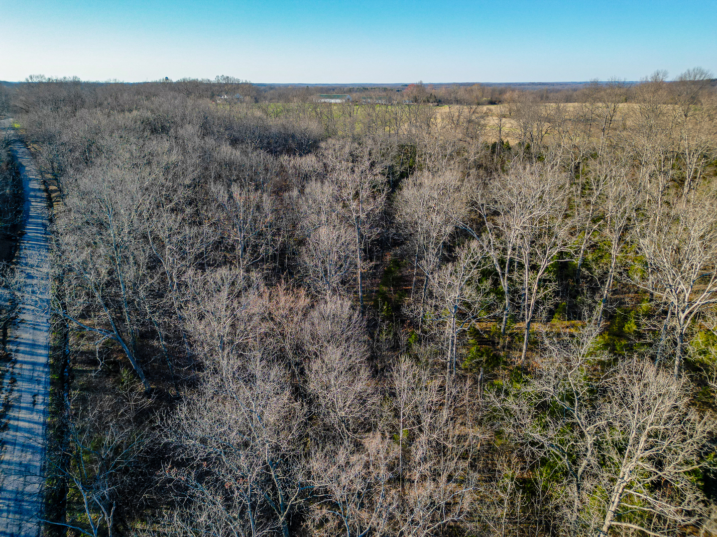 0 Belville Road New Burnside, IL 62967 - Photo 11 of 14