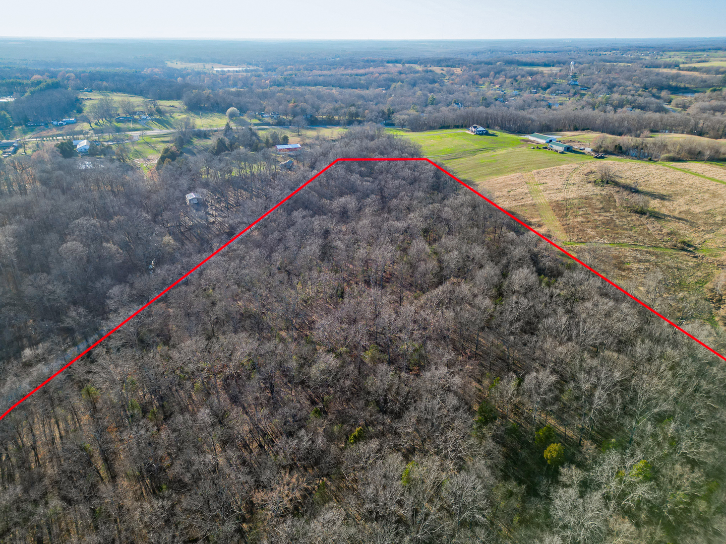 0 Belville Road New Burnside, IL 62967 - Photo 3 of 14