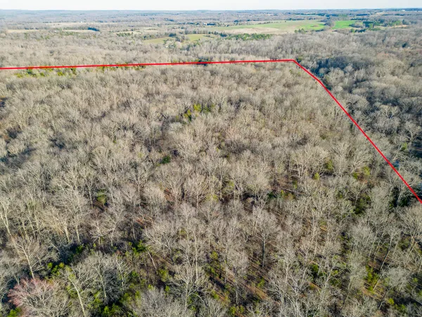 $163,200 | 0 Belville Road, New Burnside, IL 62967