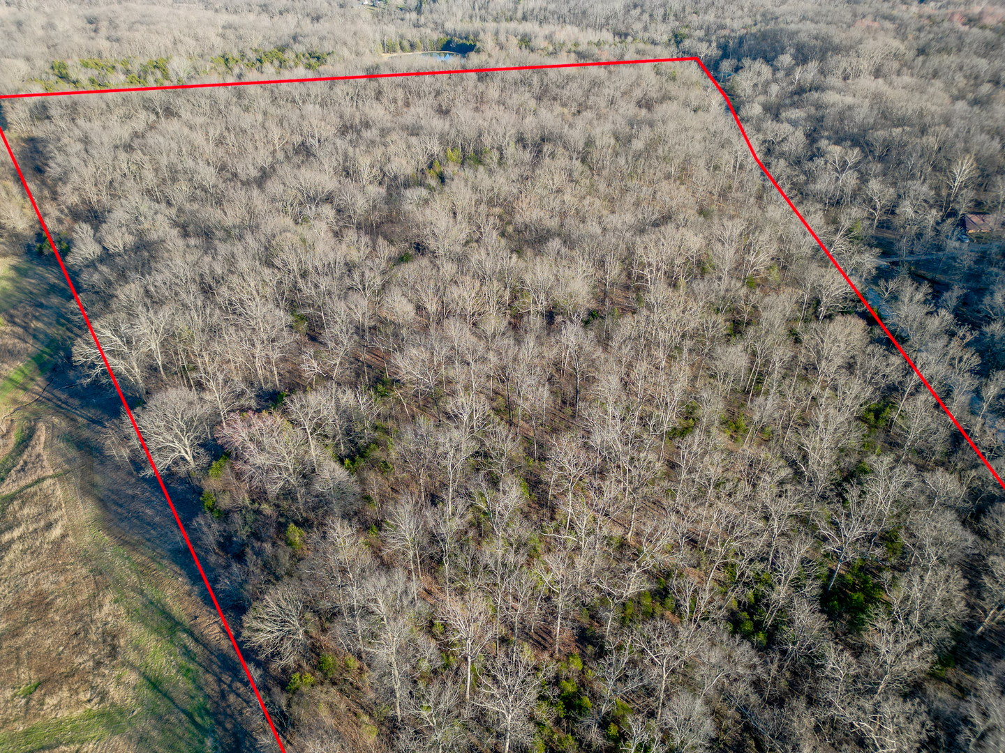 0 Belville Road New Burnside, IL 62967 - Photo 5 of 14