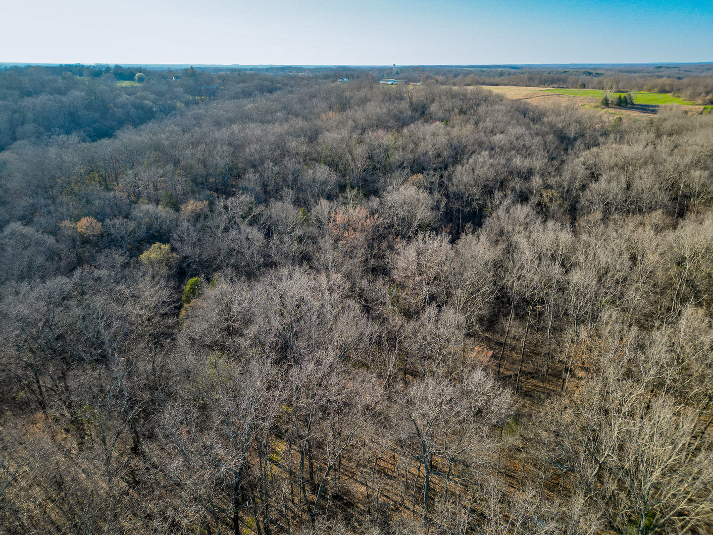 0 Belville Road New Burnside, IL 62967 - Photo 6 of 14