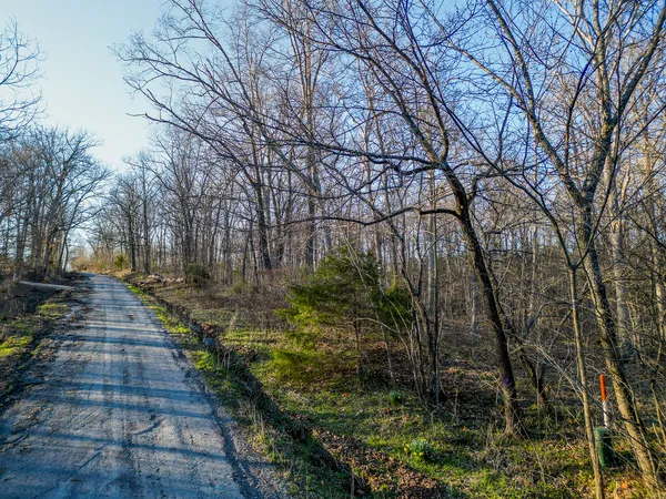 $163,200 | 0 Belville Road, New Burnside, IL 62967