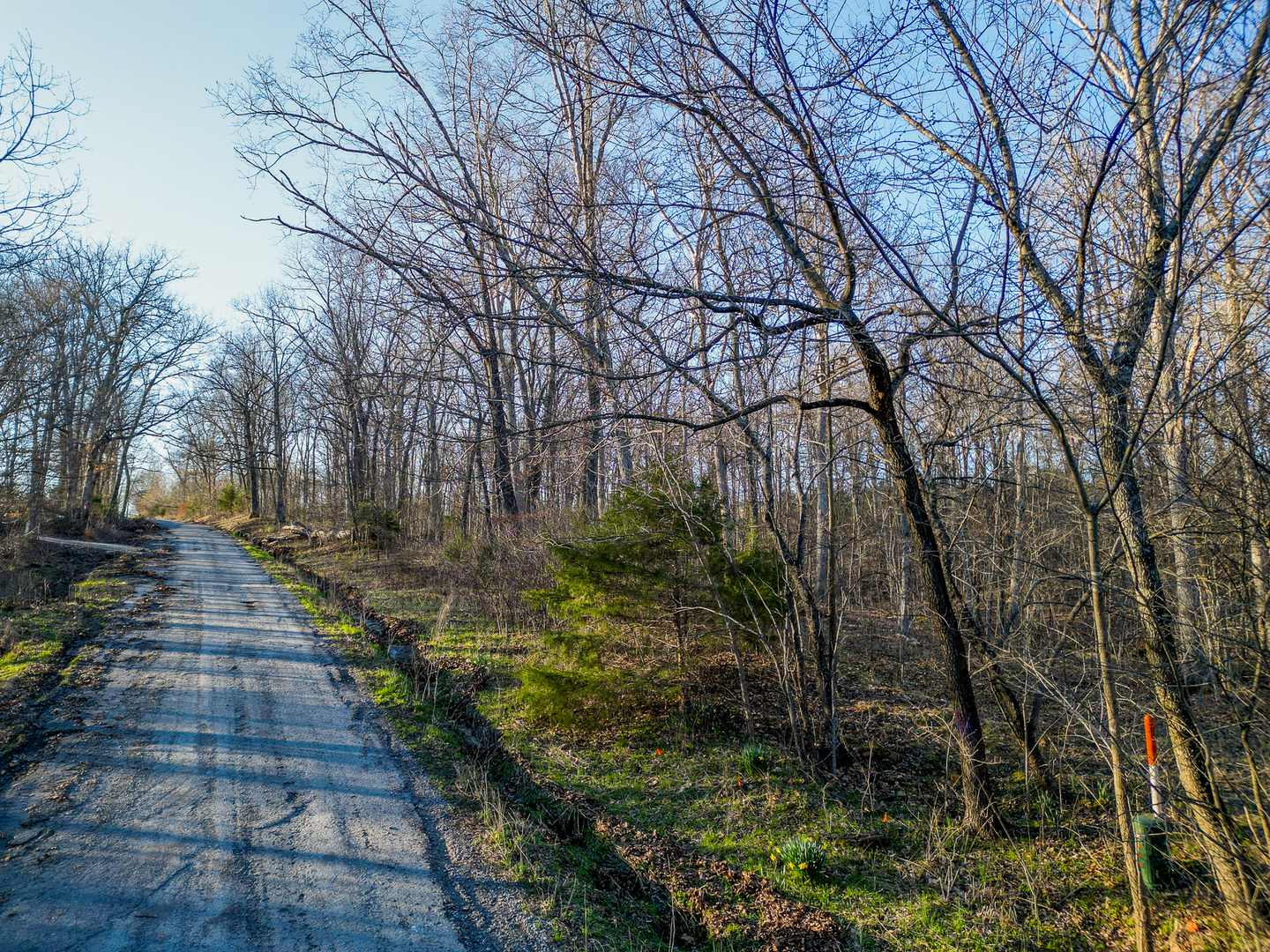0 Belville Road New Burnside, IL 62967 - Photo 7 of 14