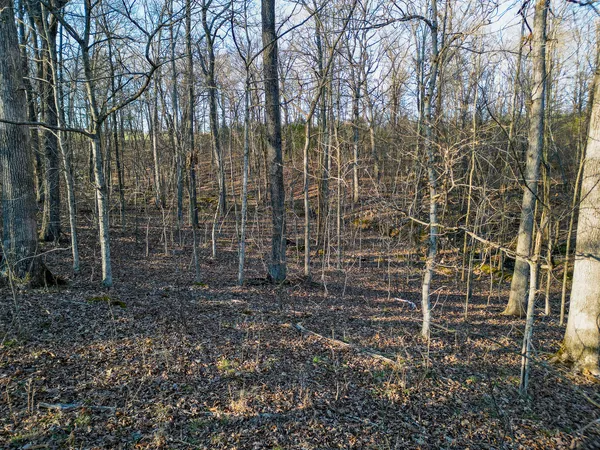 $163,200 | 0 Belville Road, New Burnside, IL 62967