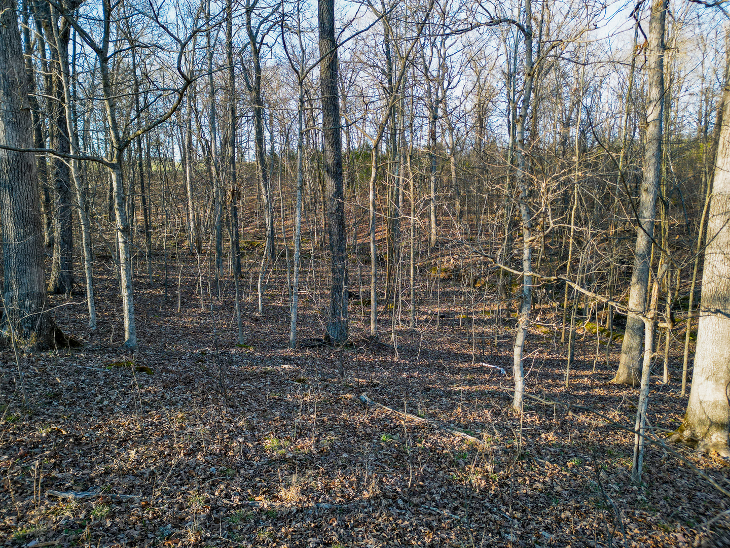 0 Belville Road New Burnside, IL 62967 - Photo 8 of 14