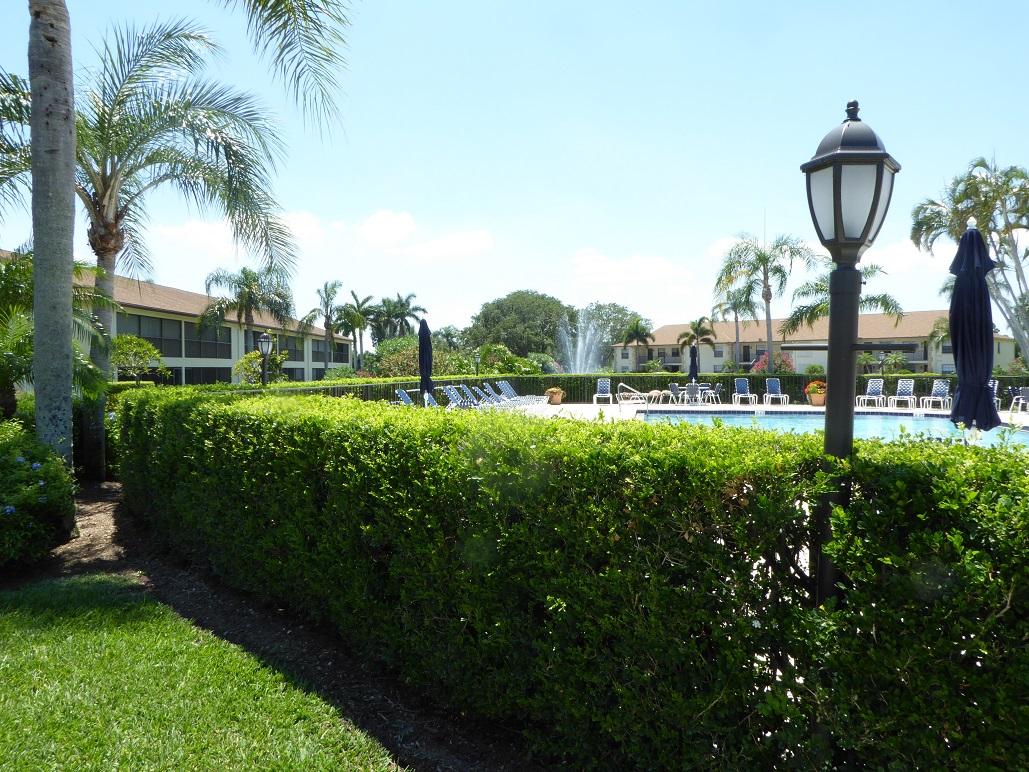 602 Pinecrest Circle, Unit B Jupiter, FL 33458 - Photo 18 of 19 a view of yard with green space and tall trees