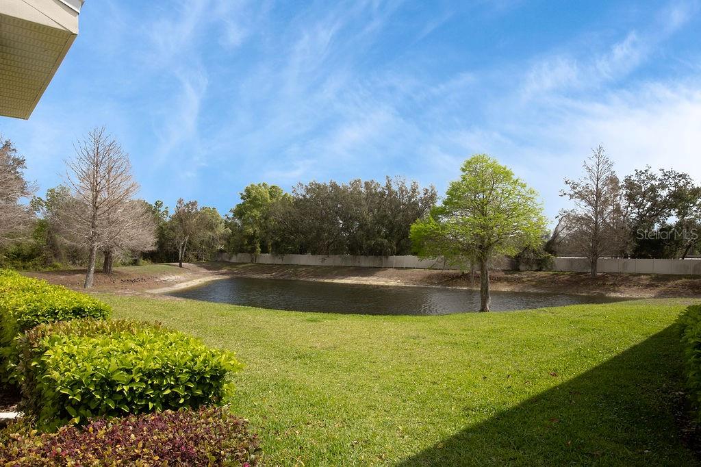 15904 Stable Run Drive Spring Hill, FL 34610 - Photo 42 of 50