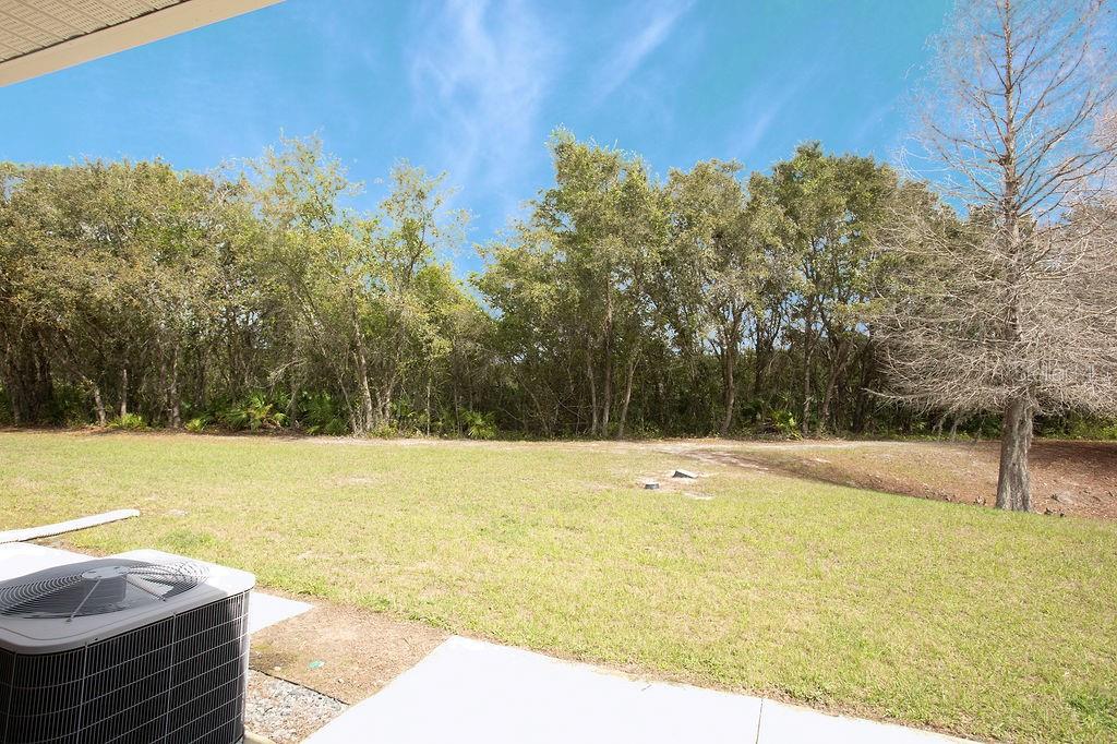 15904 Stable Run Drive Spring Hill, FL 34610 - Photo 48 of 50