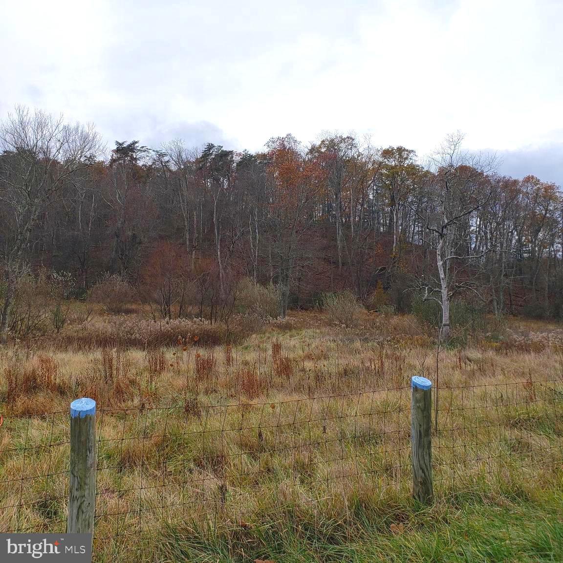 Lot 7 Cattail Road Winchester, VA 22603 - Photo 3 of 23 Gallery Image 3
